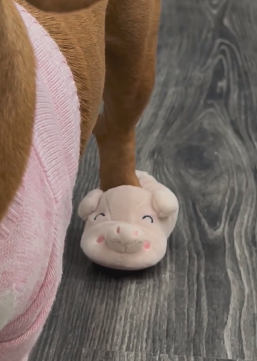 Dog-specific - Pink pig shoes