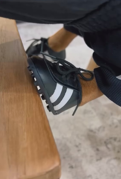 Dog-specific - Black and white striped sneakers