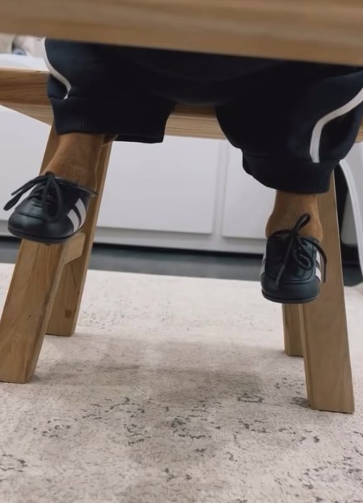 Dog-specific - Black and white striped sneakers