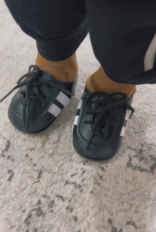 Dog-specific - Black and white striped sneakers