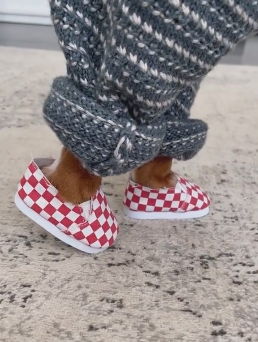 Dog-specific - Red and white mesh shoes