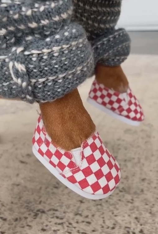 Dog-specific - Red and white mesh shoes